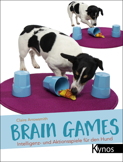 Bild zu Brain Games
