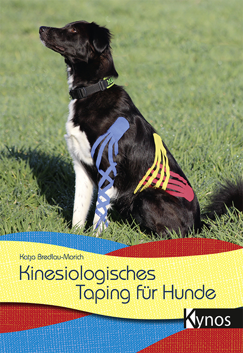 Hund mit Taping auf dem Koerper sitzt auf einer Wiese