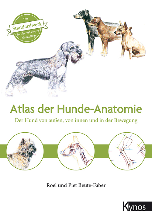 der Hunde-Anatomie