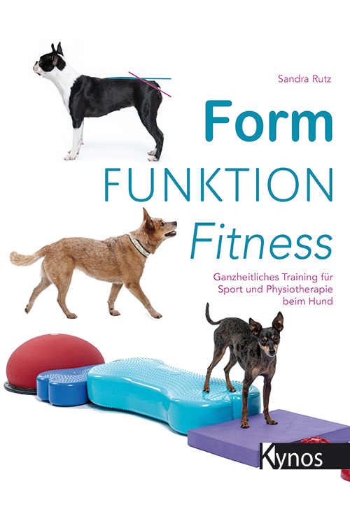 Form Funktion Fitness Titelbild