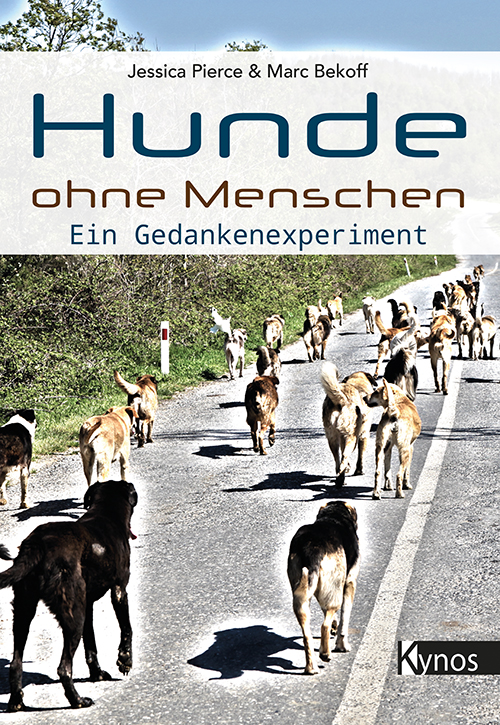 Hunde auf der Strasse