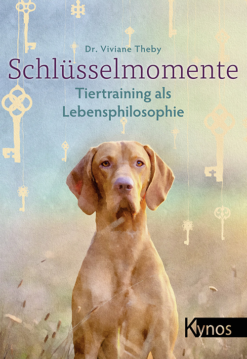 Cover-Schlüsselmomente