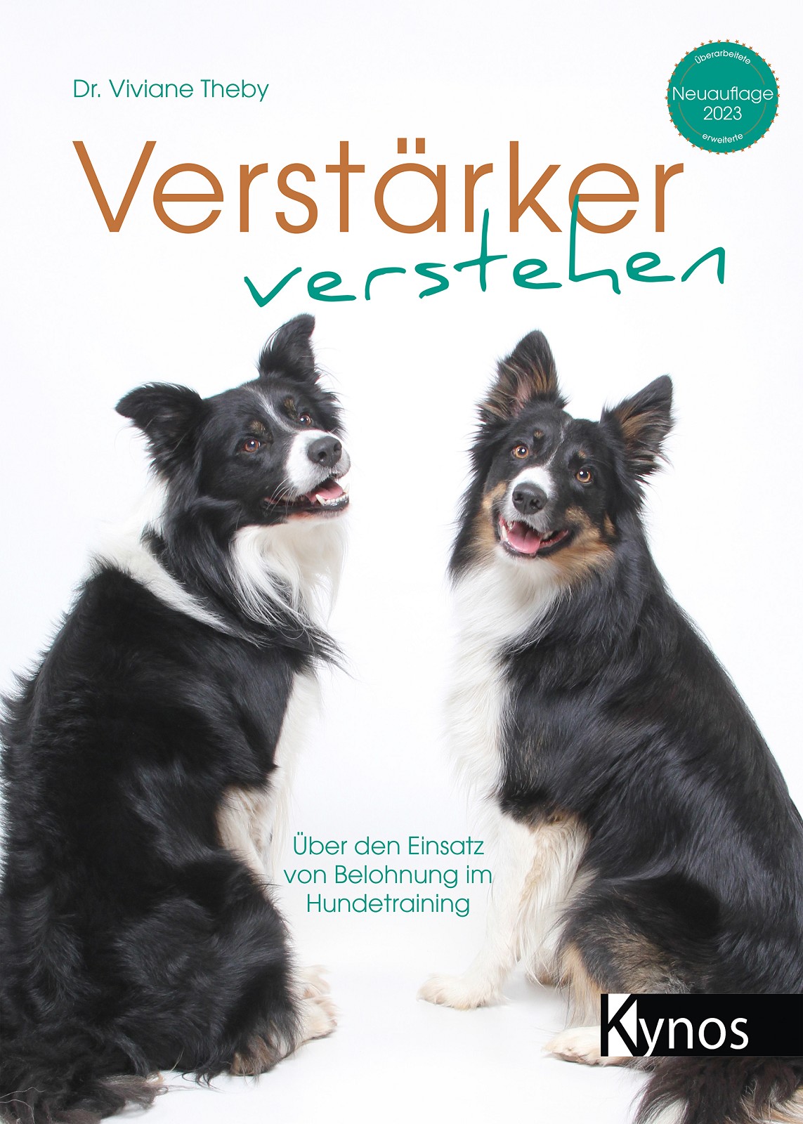 Cover Verstärker verstehen