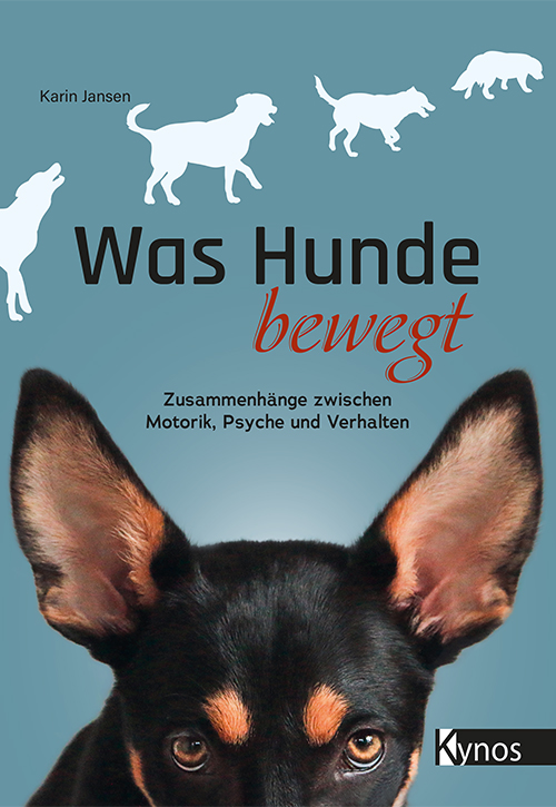 Grafiken von gehendem Hund durch Bild, darunter ein Hund, der in die Kamera schaut