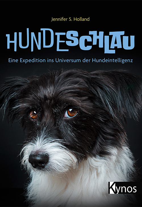 Hund schaut in die Kamera