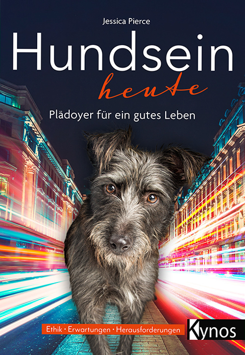 Hund geht auf die Kamera zu - im Hintergrund eine Großstadt