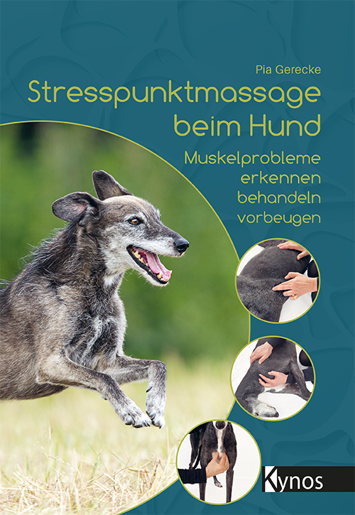 Hund springt von links ins Bild, daneben drei Bilder mit Massagegriffen am Hund Hund springt von links ins Bild, daneben drei Bilder mit Massagegriffen am Hund