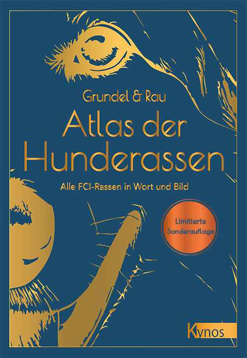 Silhouette eines Hundekopfs in goldener Schrift Silhouette eines Hundekopfs in goldener Schrift