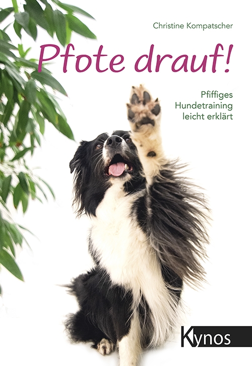 Lassie-Rex-und-Co-Der-Schlüssel-zur-erfolgreichen-Hundeerziehung-Das-besondere-Hundebuch