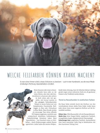 Die Genetik der Fellfarben Hund