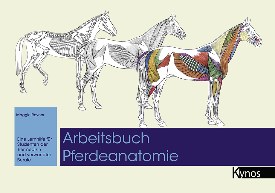 Cover mit drei verschiedenen Skeletten vom Pferd